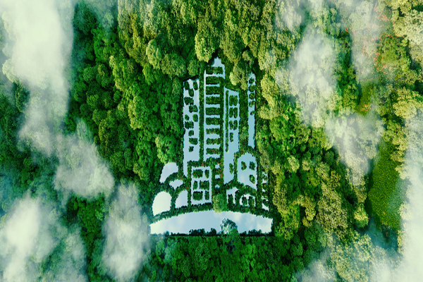 Sustainability in Hospitality: Making Your Hotel Greener